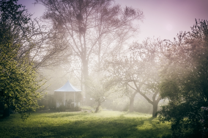 misty garden